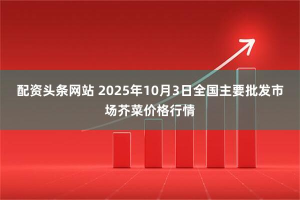 配资头条网站 2025年10月3日全国主要批发市场芥菜价格行情